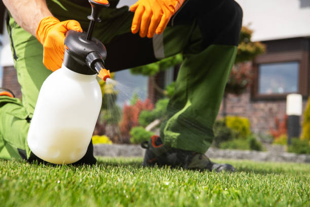 Best Exterminator Services  in Russellville, KY