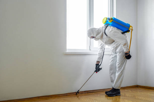 Best Best Pest Control Companies  in Russellville, KY