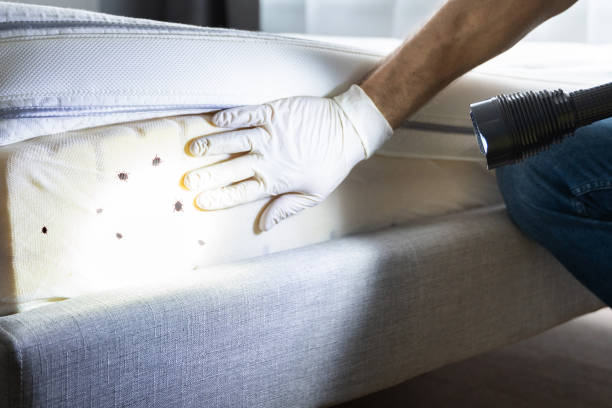 Best Cockroach Control Services  in Russellville, KY