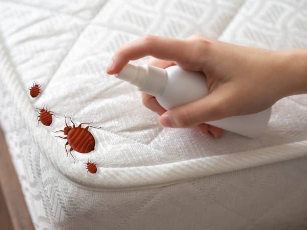 Best Mosquito Control Services  in Russellville, KY