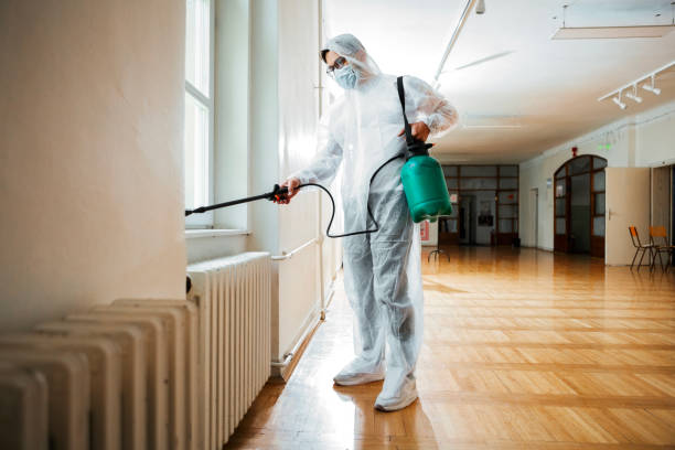 Best Insect Control  in Russellville, KY
