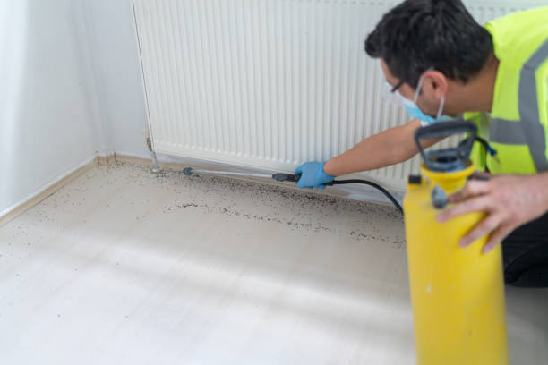Best Ant Control Services  in Russellville, KY