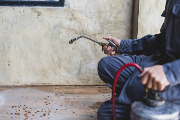 Best Best Pest Control Companies  in Russellville, KY