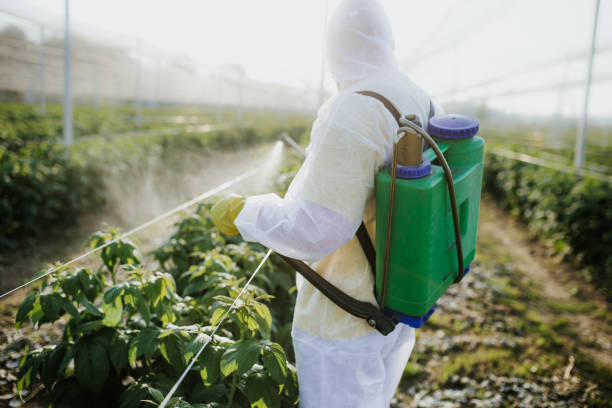 Best Termite Control Services  in Russellville, KY